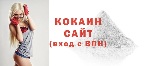 гашик Михайлов