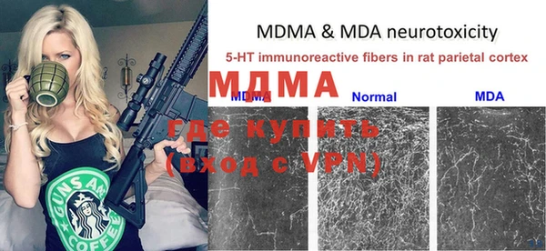 гашик Михайлов