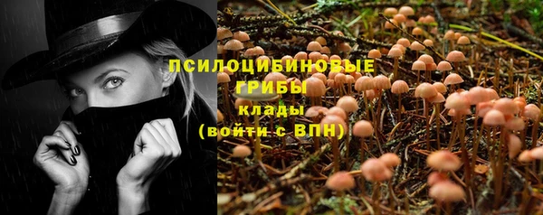 гашик Михайлов
