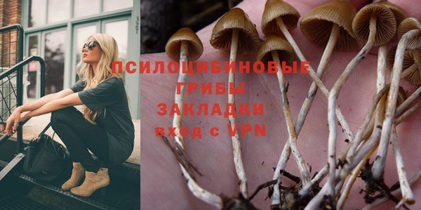spice Михайловск