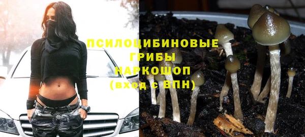 гашик Михайлов