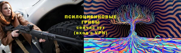гашик Михайлов