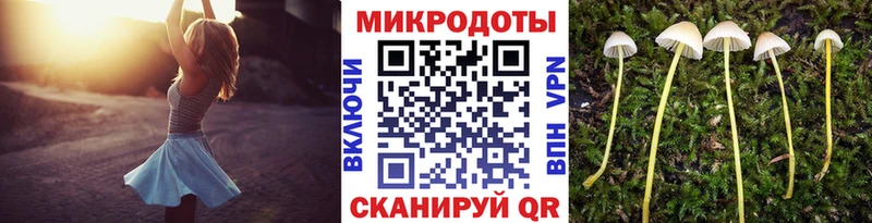 Псилоцибиновые грибы Magic Shrooms  Ершов 